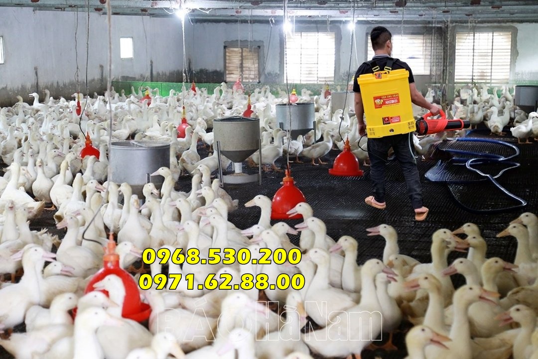 Phun khử trùng chuồng trại động vật cao cấp Turbo Ba-6