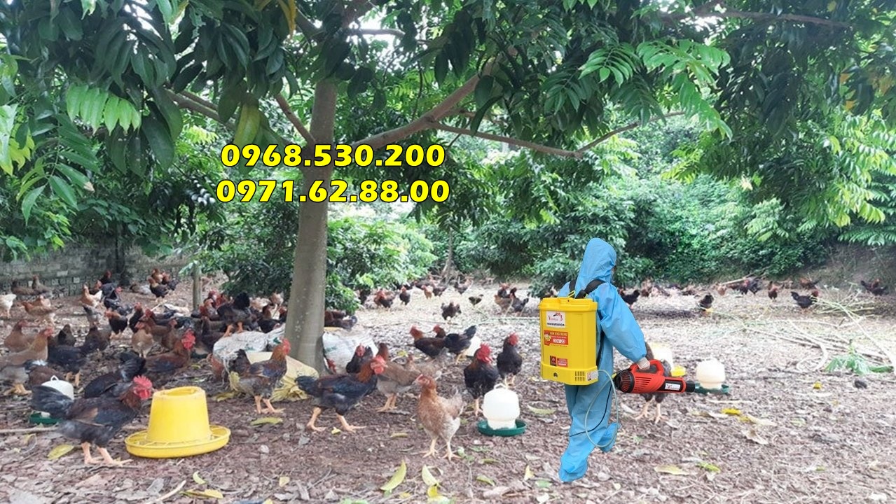 Phun khử trùng chuồng trại động vật cao cấp Turbo Ba-6