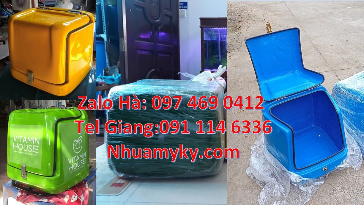 thùng ship hàng giữ nhiệt,thùng giao hàng sau xe máy,thùng chờ hàng tm