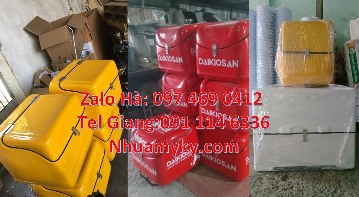 thùng ship hàng giữ nhiệt,thùng giao hàng sau xe máy,thùng chờ hàng tm