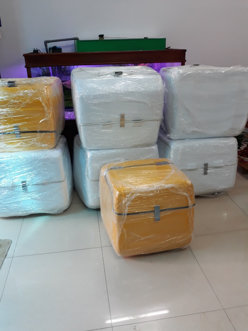 Thùng chở hàng composite - Thùng chở hàng gắn sau xe shipper