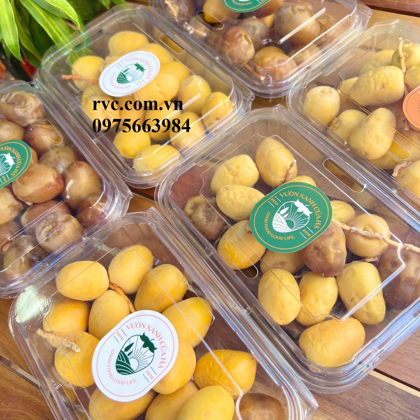 Hộp nhựa đựng trái cây an toàn, tiện lợi