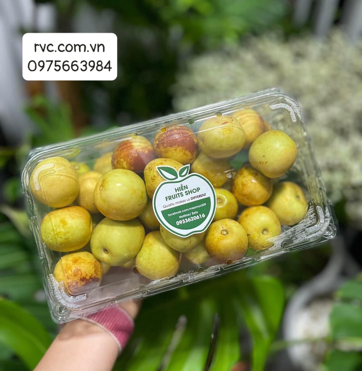 Hộp nhựa đựng trái cây an toàn, tiện lợi