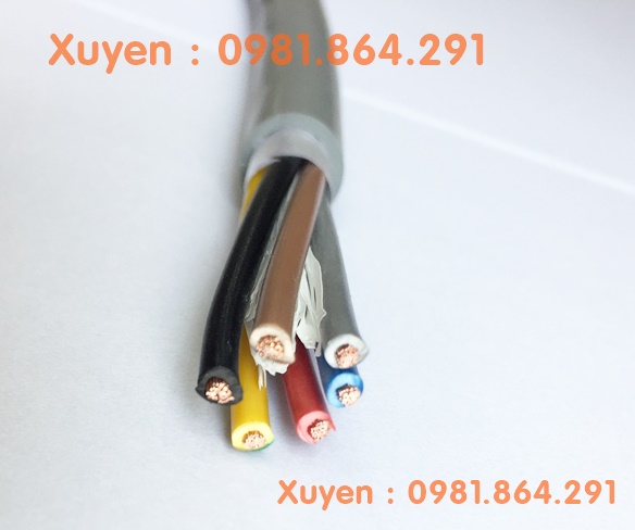 Cáp điều khiển rvv,rvvp 6x0.5mm2 lõi đồng 100% giá tốt hãng Altek Kabe