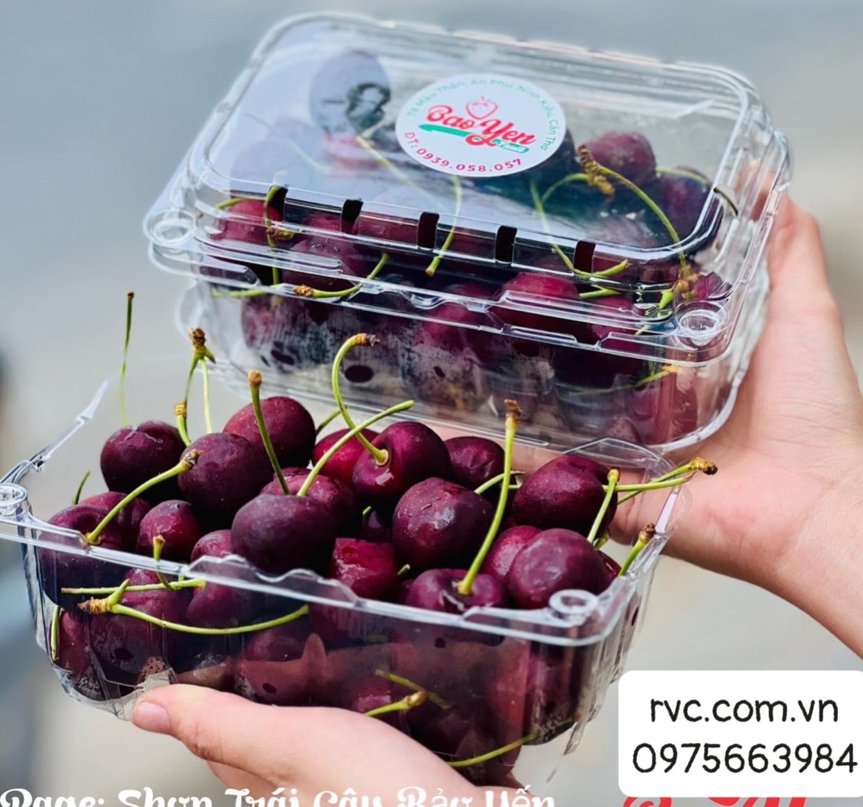 Hộp nhựa đựng trái cây P5000B đạt chuẩn an toàn thực phẩm