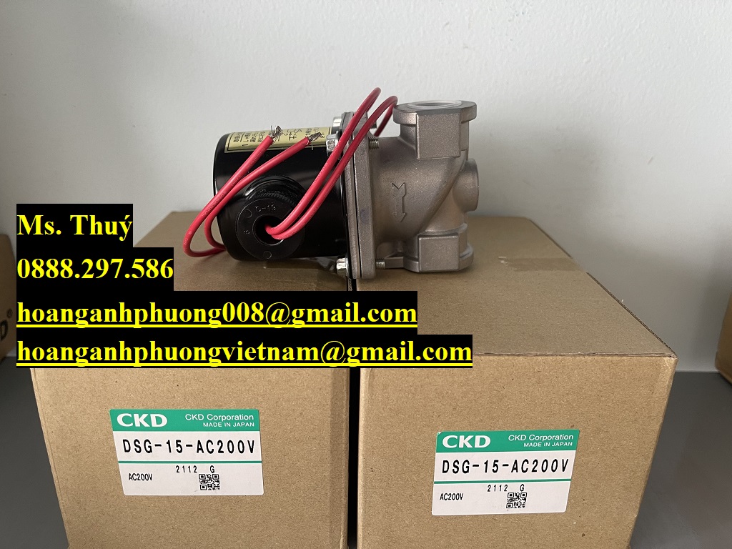 Chính hãng  Van CKD DSG-15-AC200V  Cty Hoàng Anh Phương