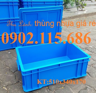 Thùng đặc KT 51x34x17cm, thùng nuôi trồng rau thủy sinh