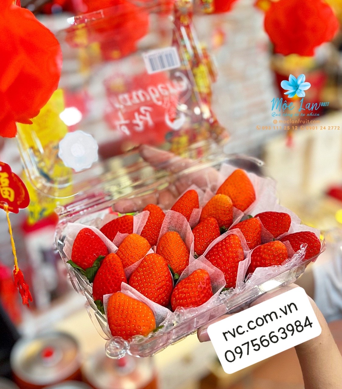 Hộp nhựa đựng trái cây 1kg đạt chuẩn an toàn thực phẩm