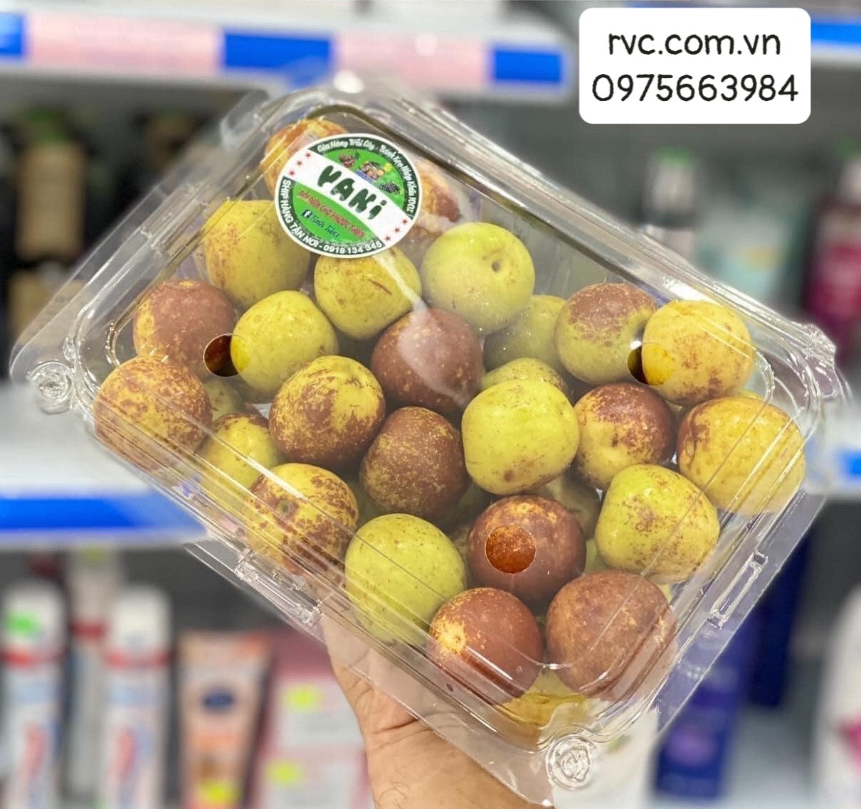 Hộp nhựa đựng trái cây 1kg đạt chuẩn an toàn thực phẩm