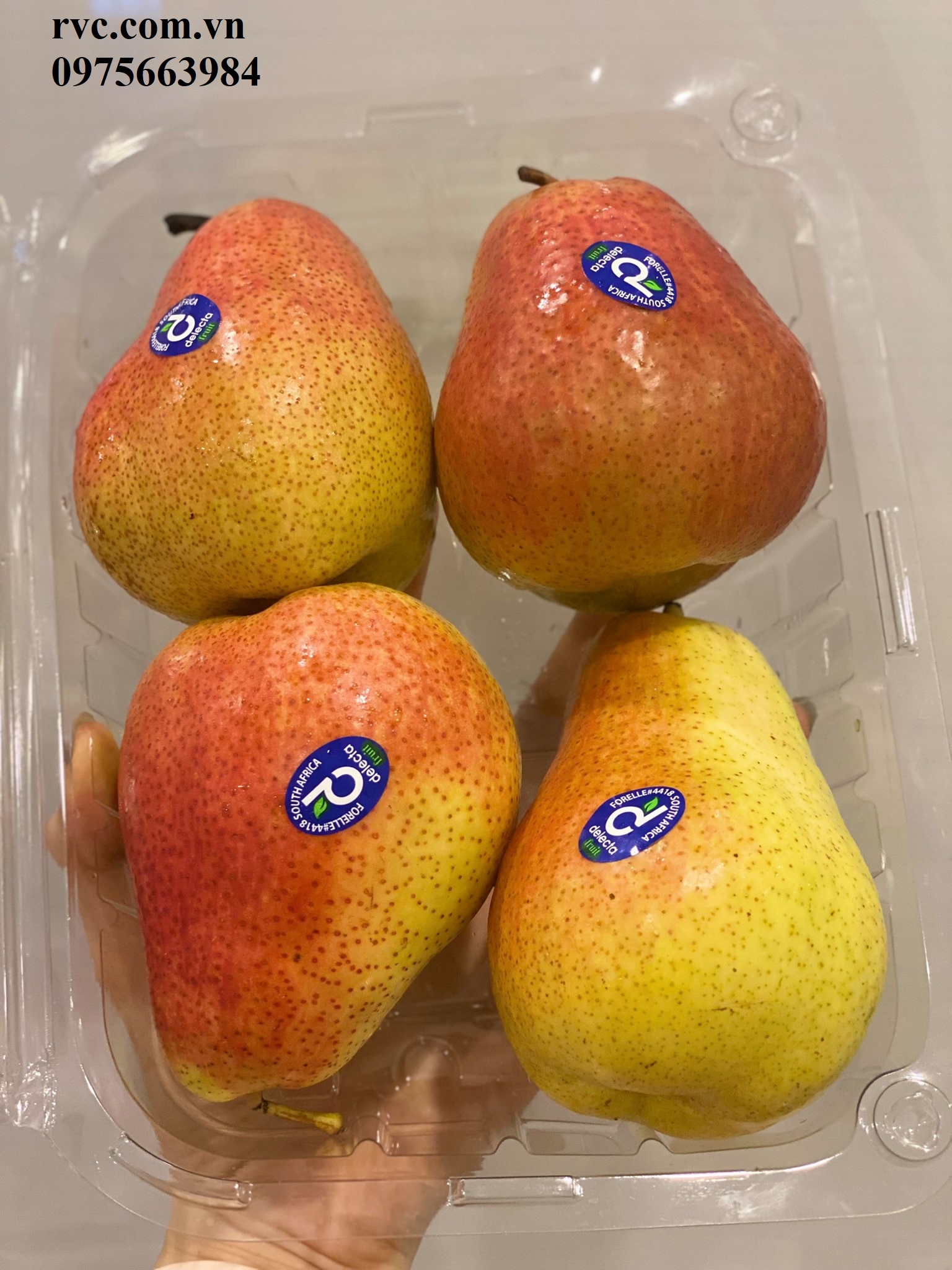 Hộp nhựa đựng trái cây 1kg đạt chuẩn an toàn thực phẩm