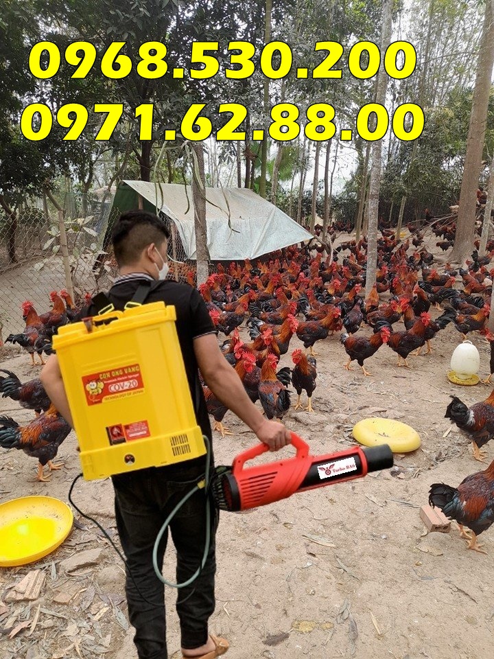 Máy phun phòng dịch cúm cao cấp Turbo BA-6