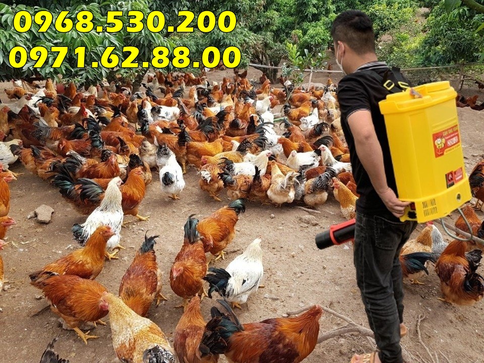 Máy phun phòng dịch cúm cao cấp Turbo BA-6