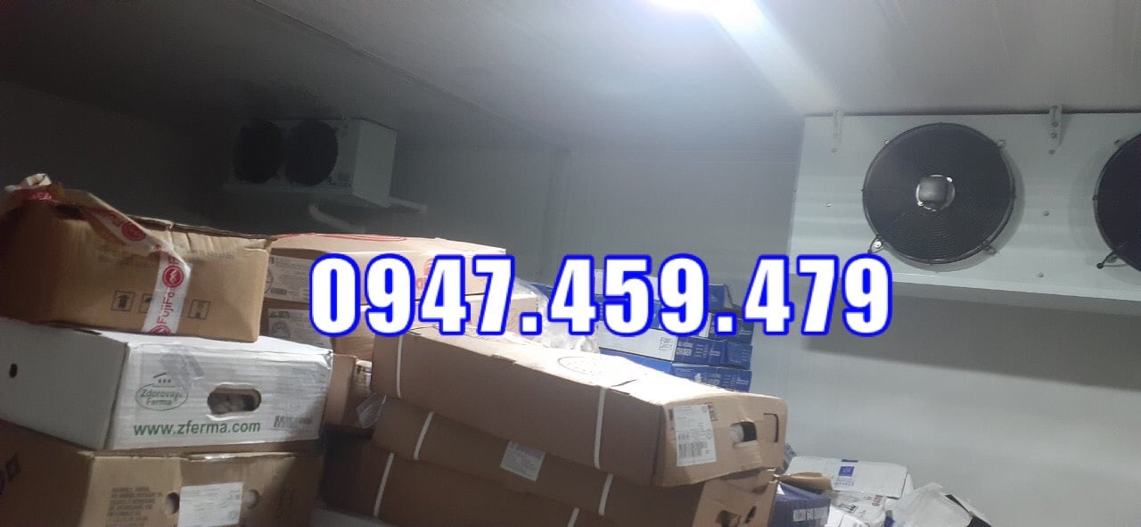 lắp đặt thi công kho lạnh xúc xích cung cấp chợ đầu mối