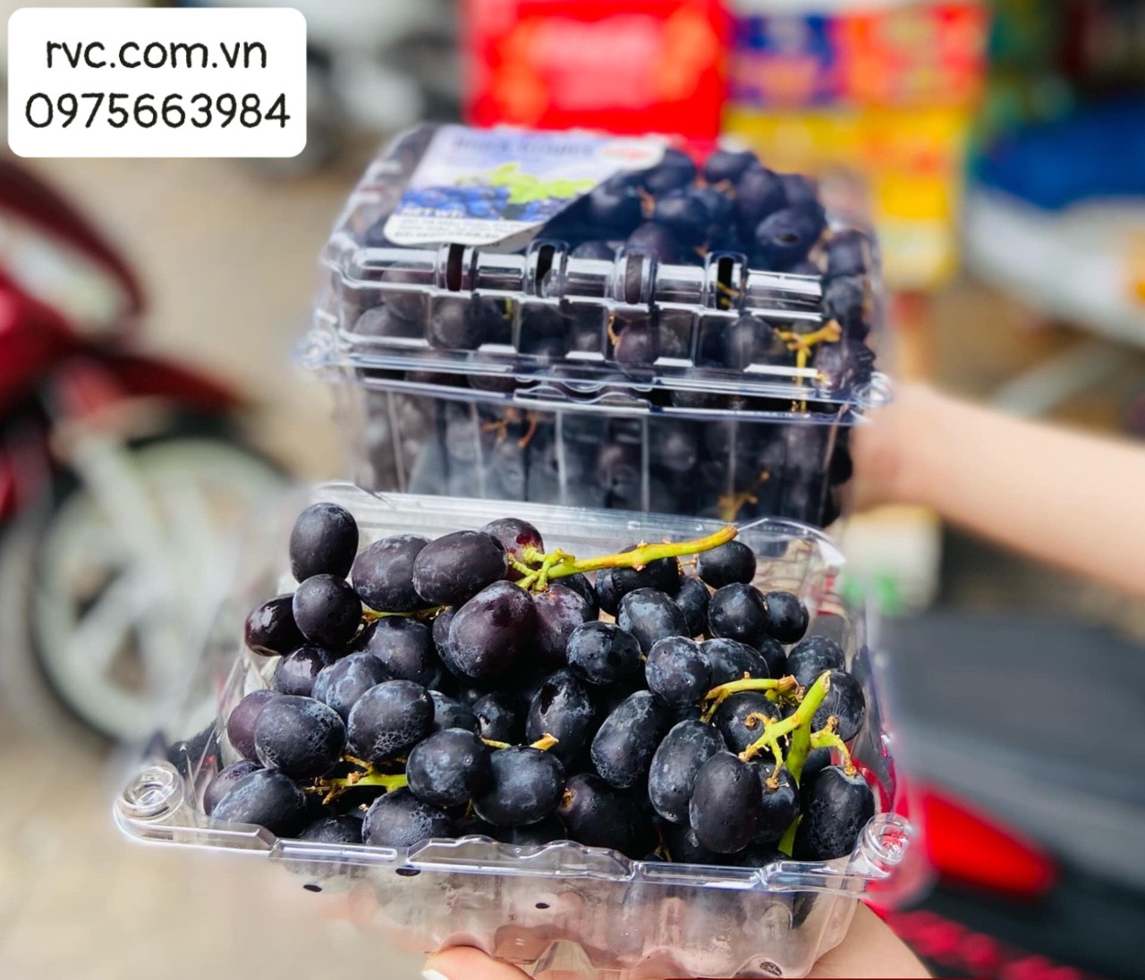 Hộp nhựa đựng nho tươi chính hãng, giá rẻ tại Ninh Thuận
