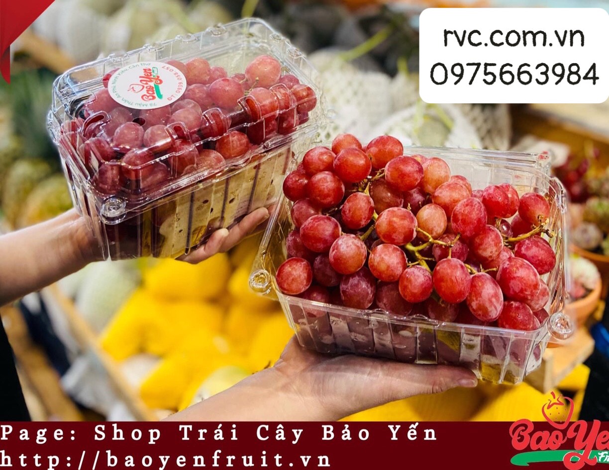 Hộp nhựa đựng nho tươi chính hãng, giá rẻ tại Ninh Thuận
