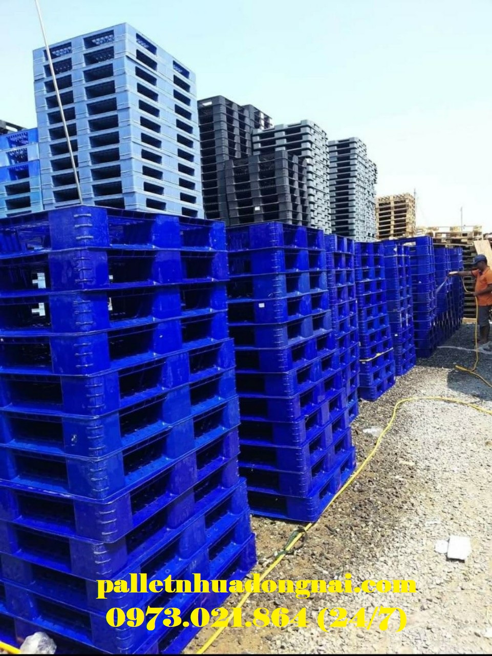 Pallet nhựa cũ tại Cà Mau, liên hệ 0973021864