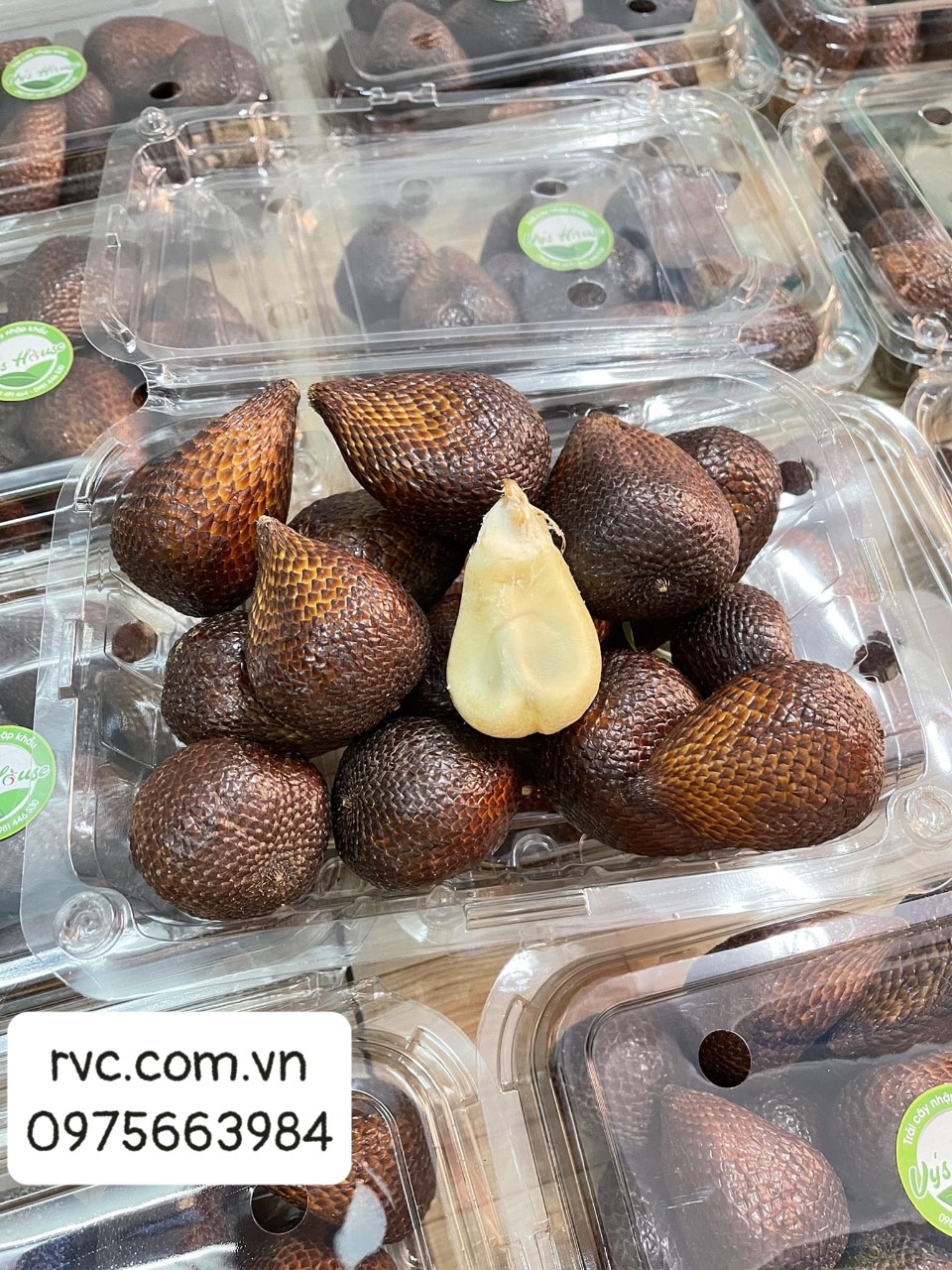 Top mẫu hộp nhựa đựng nông sản đạt chuẩn an toàn thực phẩm