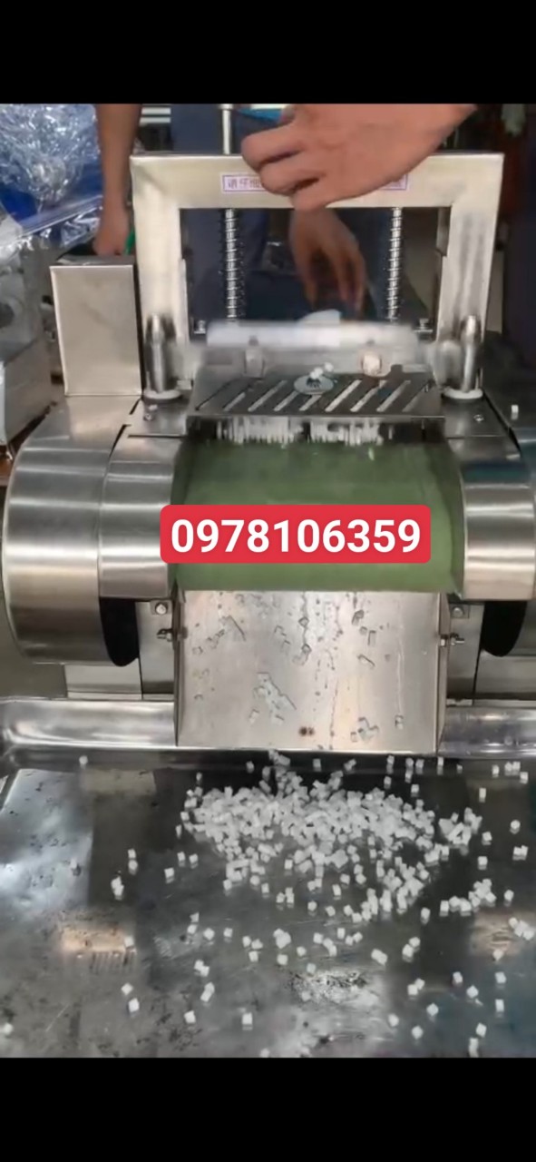 máy thái mứt xoài hạt lựu, máy thái mứt xí muội, máy thái mứt gừng,