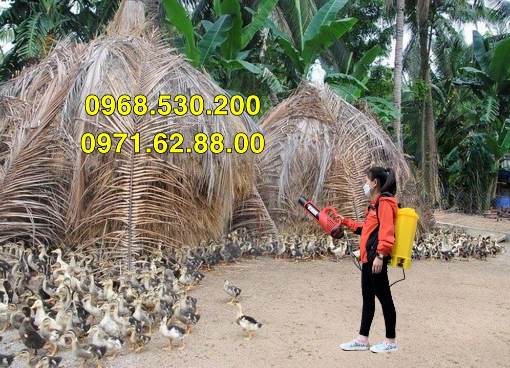 Phương pháp phòng chống cúm bệnh cúm gia cầm hiệu quả bằng Turbo BA-6