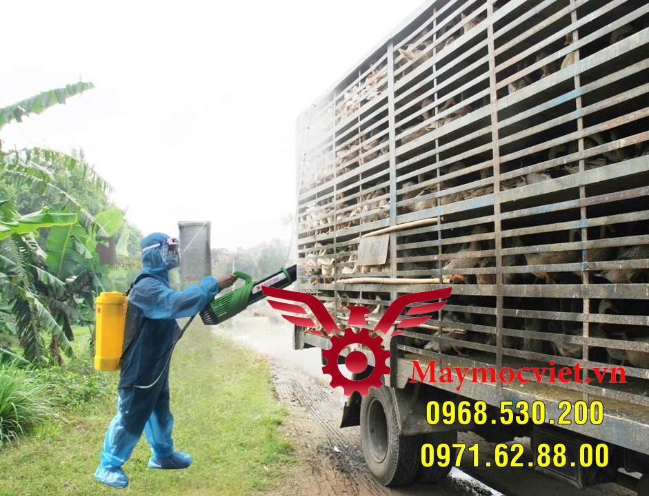 Phương pháp phòng chống cúm bệnh cúm gia cầm hiệu quả bằng Turbo BA-6