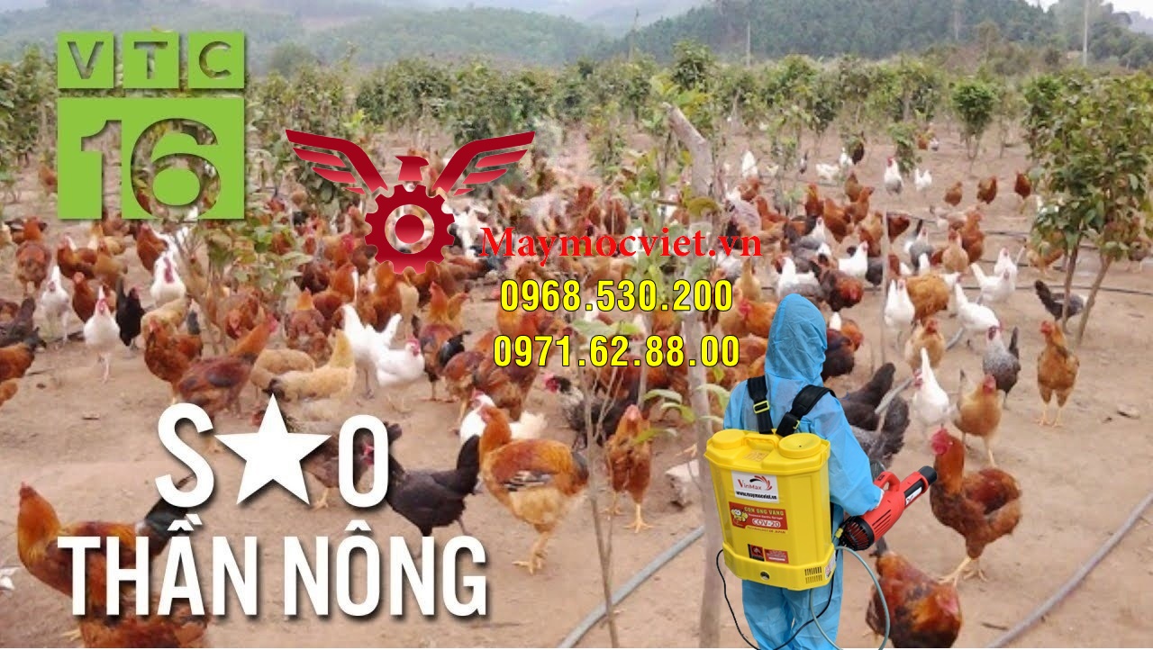 Phương pháp phòng chống cúm bệnh cúm gia cầm hiệu quả bằng Turbo BA-6