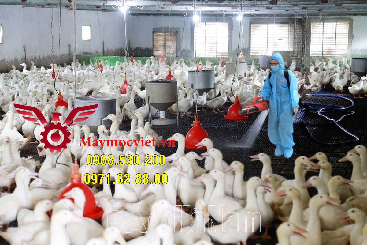 Phương pháp phòng chống cúm bệnh cúm gia cầm hiệu quả bằng Turbo BA-6