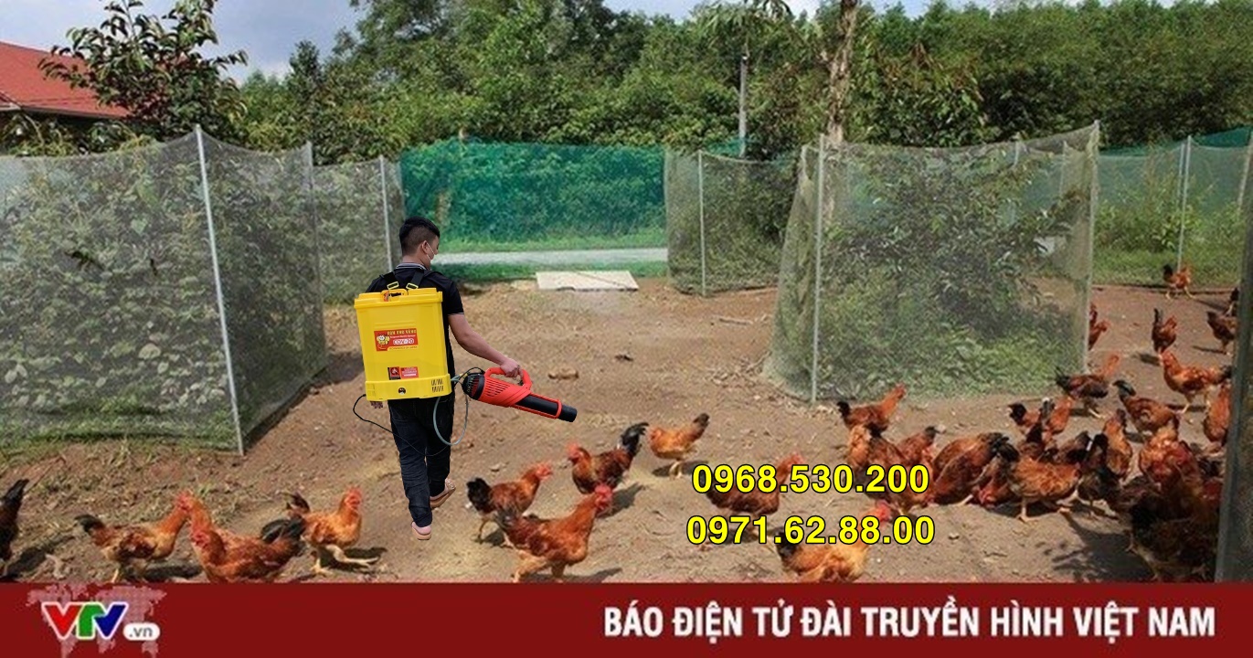 Phương pháp phòng chống cúm bệnh cúm gia cầm hiệu quả bằng Turbo BA-6