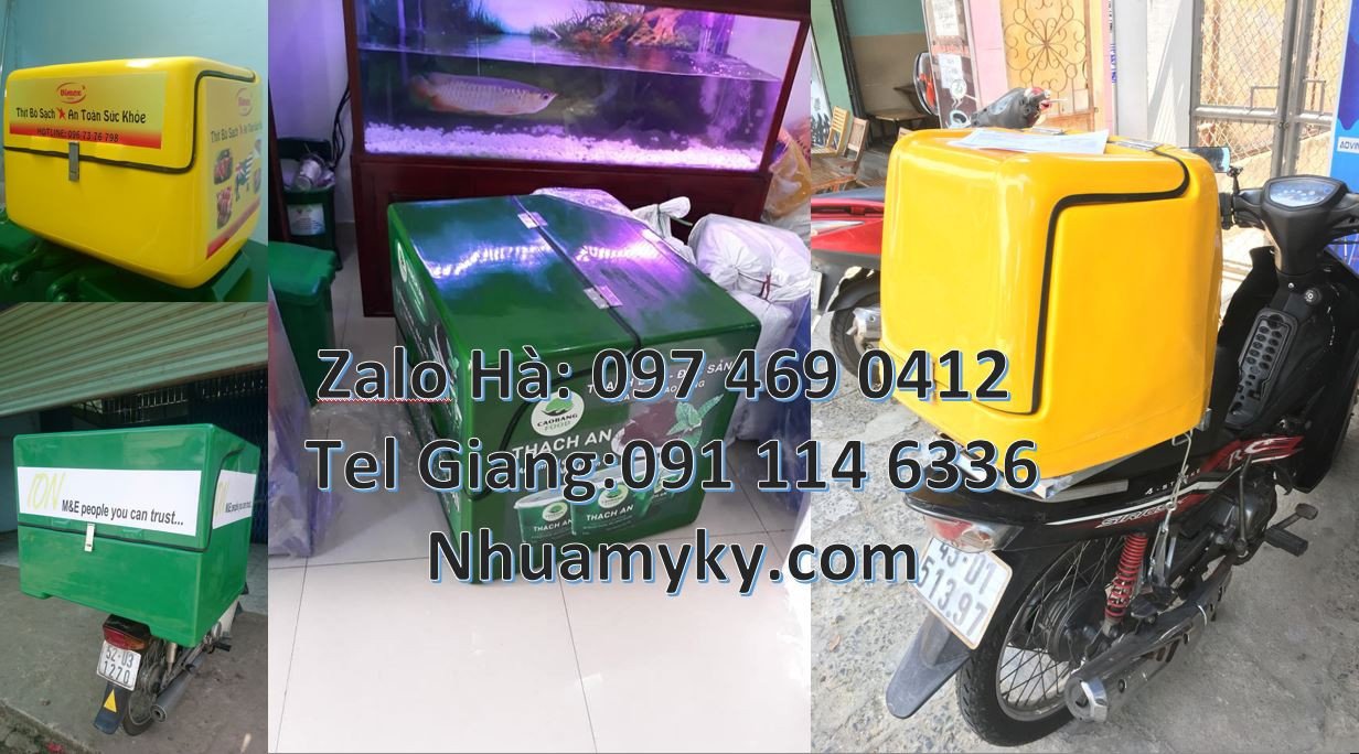 thùng giao hàng cỡ lớn,thùng giao đồ ăn nhanh,thùng giao thư báo giá r