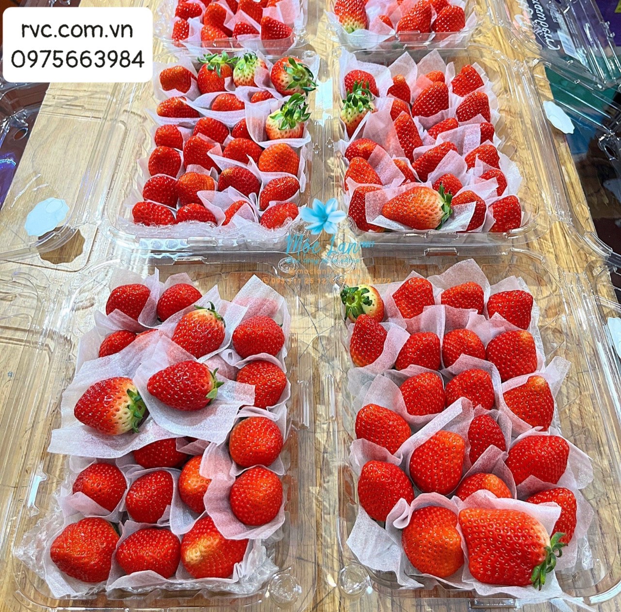 Chuyên sỉ hộp nhựa đựng dâu tây tại Đà Lạt