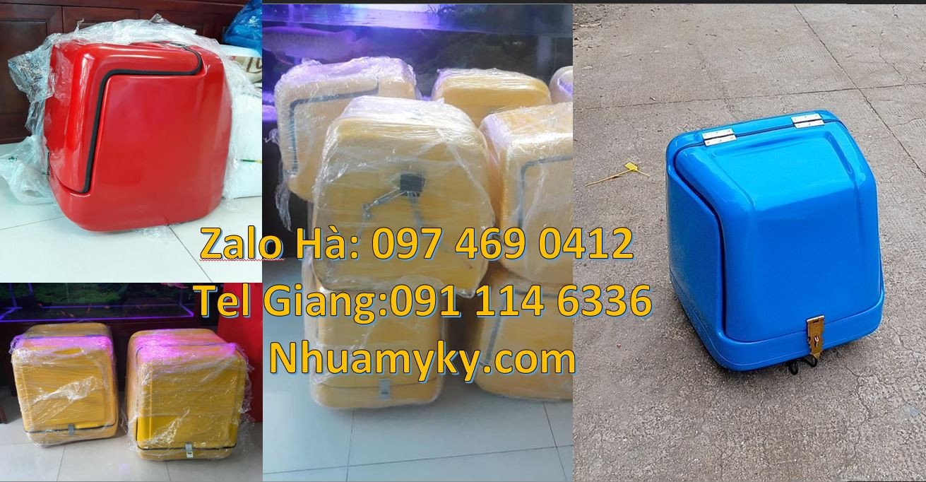 thùng giao hàng điện tử,thùng giao hàng đằng sau xe máy,thùng giaohang