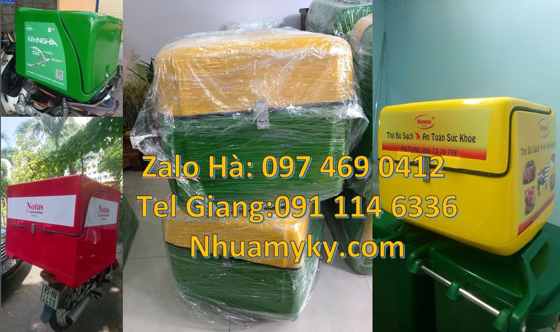 thùng giao hàng điện tử,thùng giao hàng đằng sau xe máy,thùng giaohang