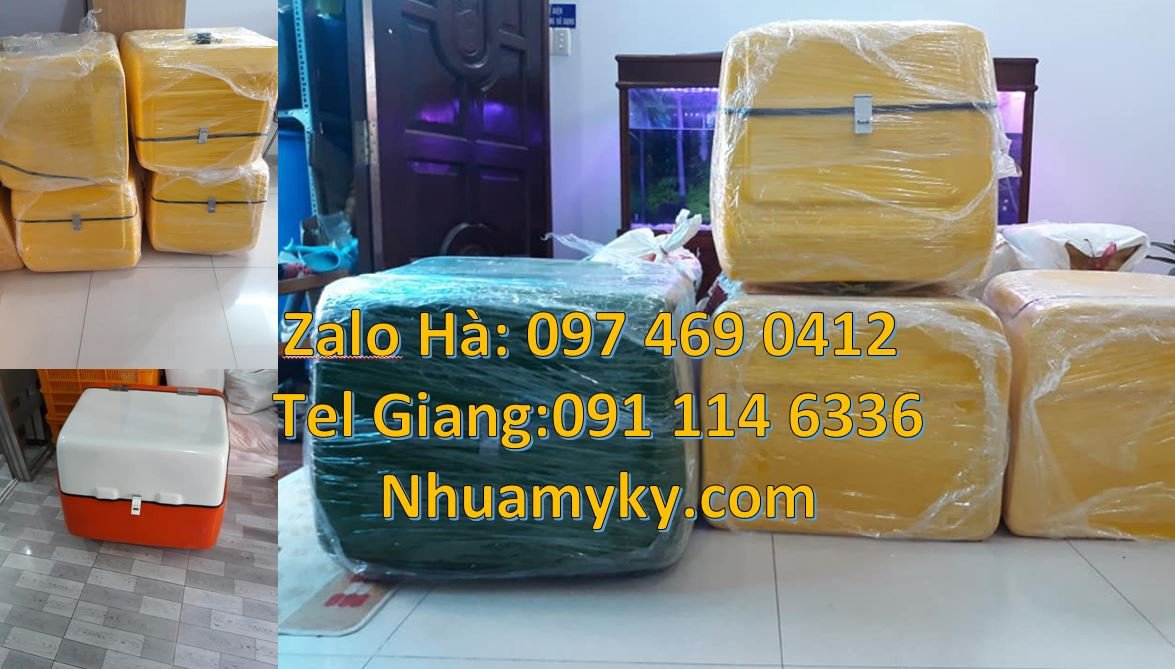 thùng giao hàng điện tử,thùng giao hàng đằng sau xe máy,thùng giaohang