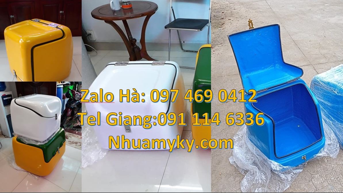 thùng giao hàng điện tử,thùng giao hàng đằng sau xe máy,thùng giaohang