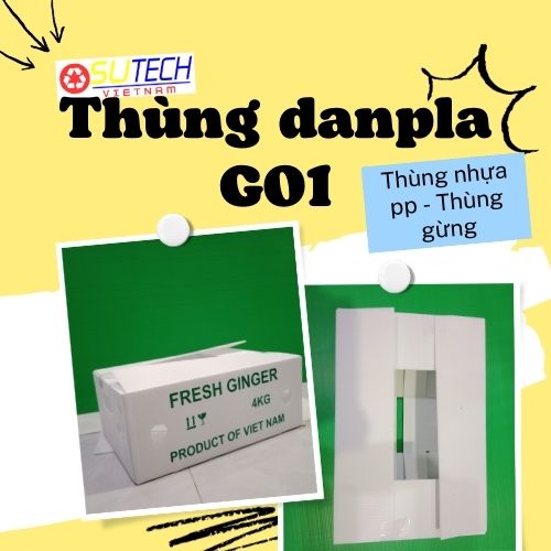 Thùng nhựa đựng nông sản, thùng gừng xuất khẩu