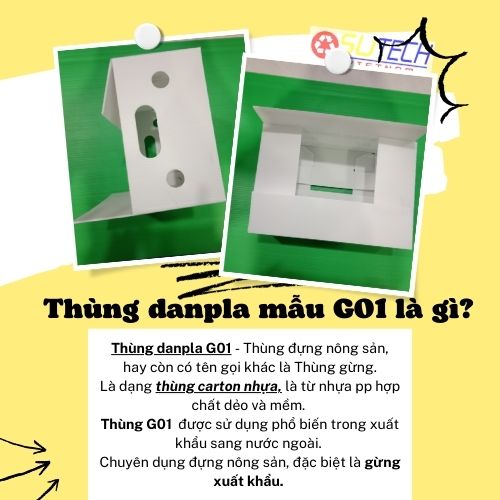 Thùng nhựa đựng nông sản, thùng gừng xuất khẩu