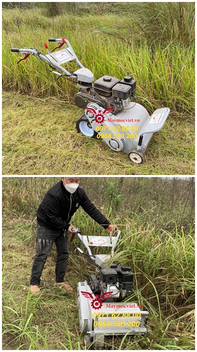 Cập nhật giá máy cắt cỏ trục băm Kawasaki VMTB70121