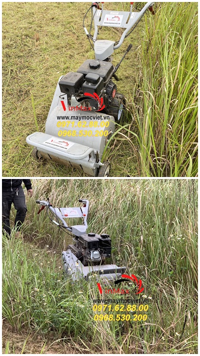 Cập nhật giá máy cắt cỏ trục băm Kawasaki VMTB70121