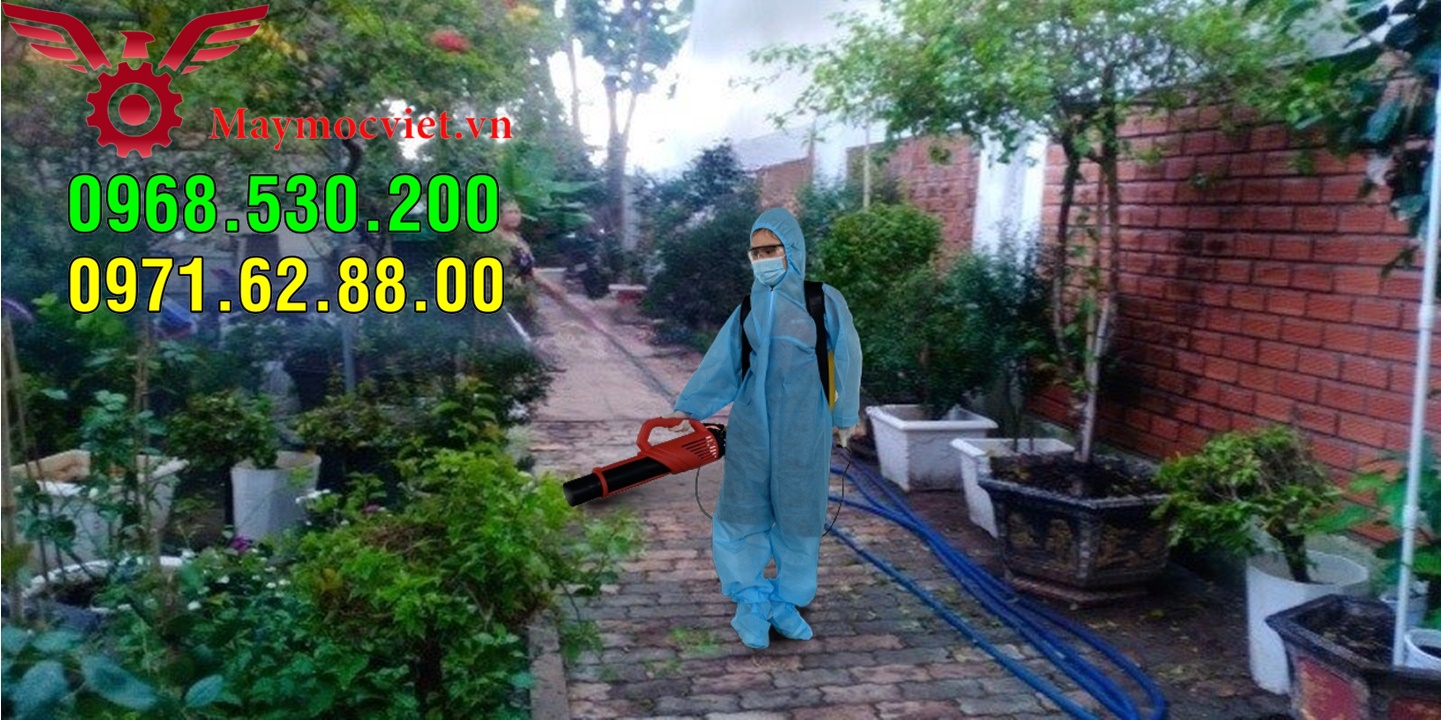 Triệu chứng sốt xuất huyết và biện pháp phun hóa chất phòng ngừa