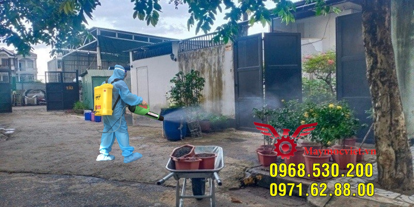 Triệu chứng sốt xuất huyết và biện pháp phun hóa chất phòng ngừa