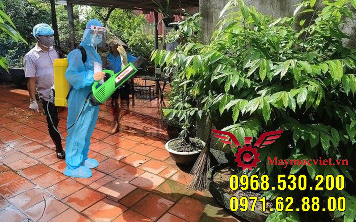 Triệu chứng sốt xuất huyết và biện pháp phun hóa chất phòng ngừa