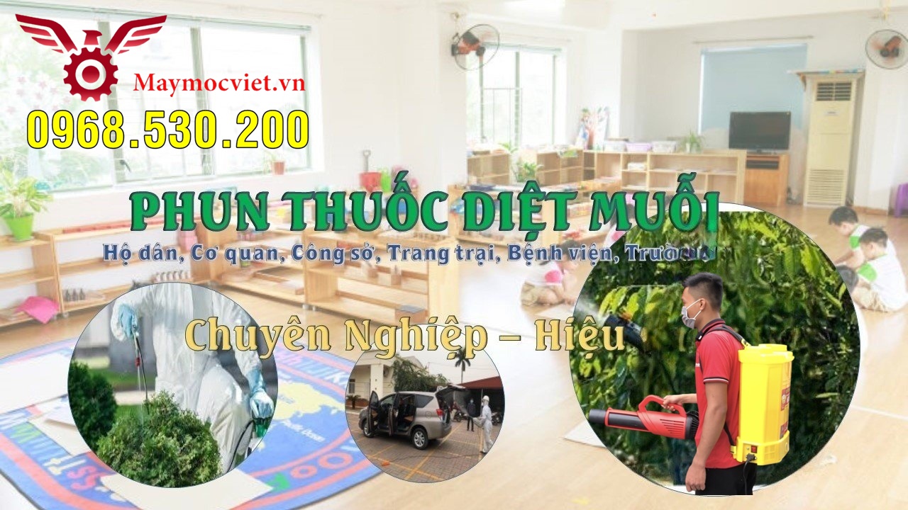 Triệu chứng sốt xuất huyết và biện pháp phun hóa chất phòng ngừa
