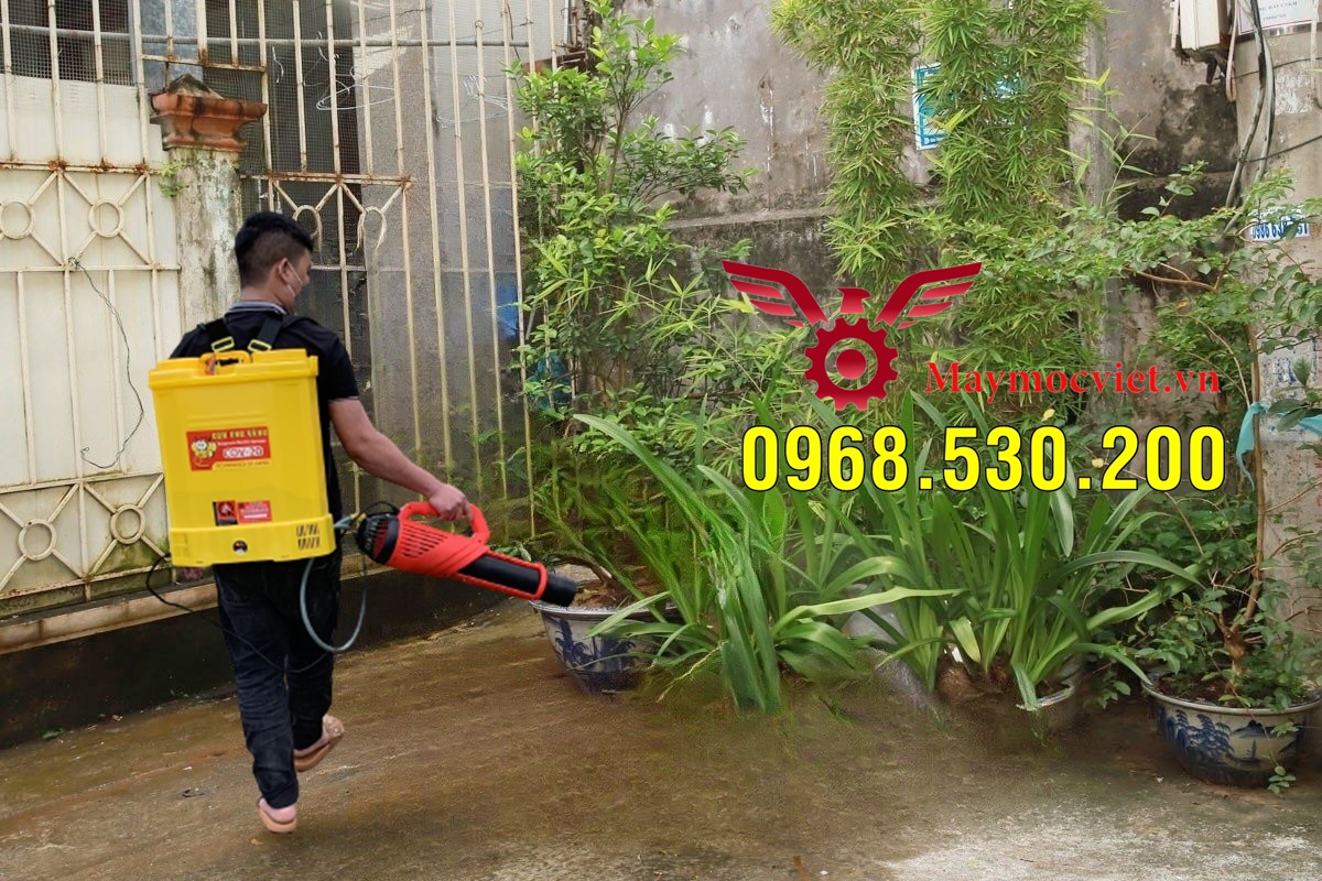 Triệu chứng sốt xuất huyết và biện pháp phun hóa chất phòng ngừa