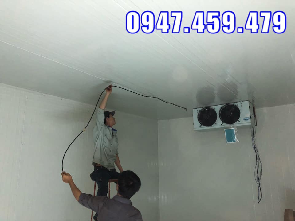Kho lạnh bảo quản củ hủ dừa tại bến tre giá rẻ