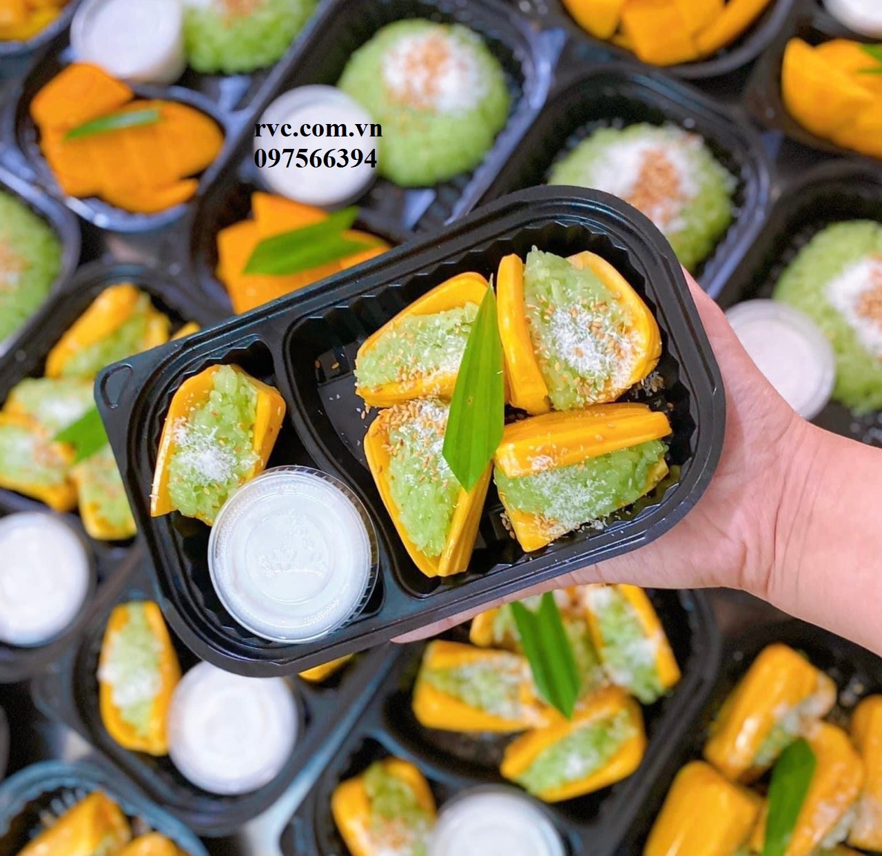 Địa chỉ uy tín cung cấp hộp nhựa đựng cơm HT17