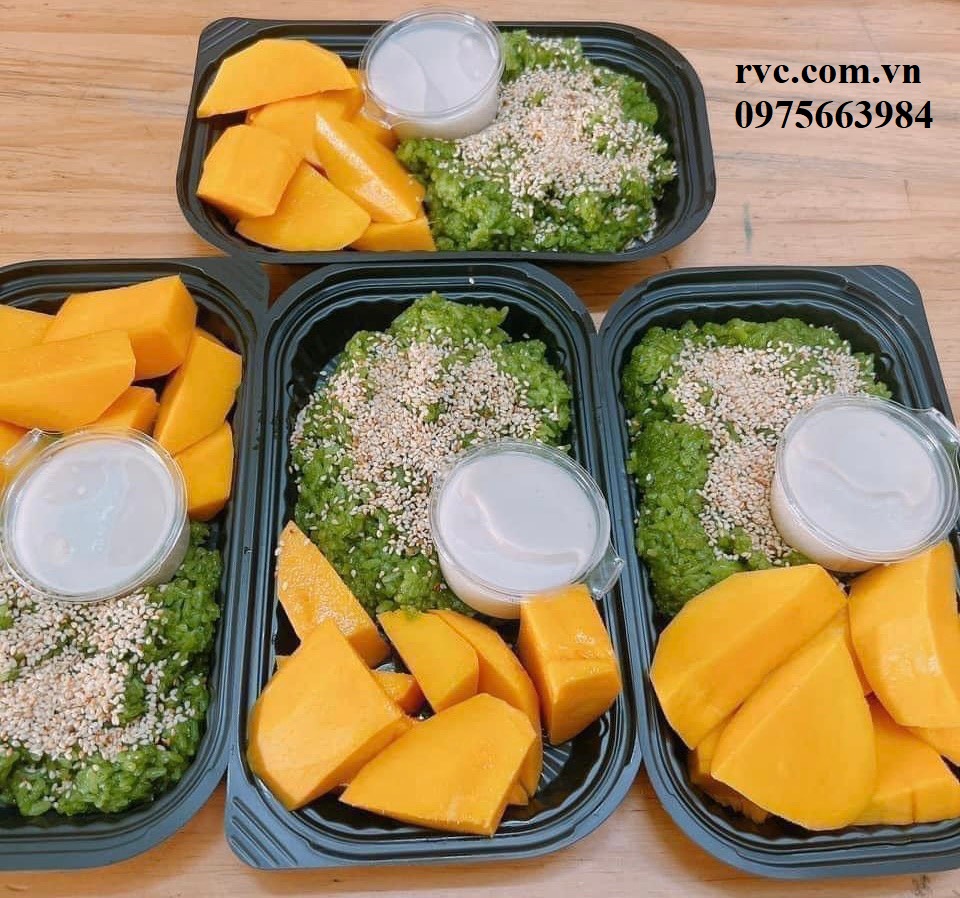 Địa chỉ uy tín cung cấp hộp nhựa đựng cơm HT17