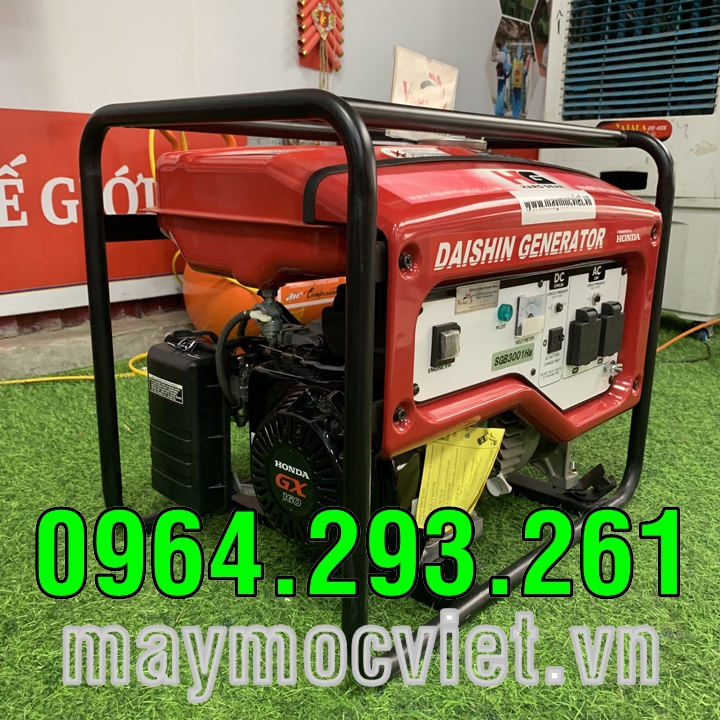 Máy phát điện dùng cho gia đình mùa mưa bão hiệu Daishin SGB3001HA