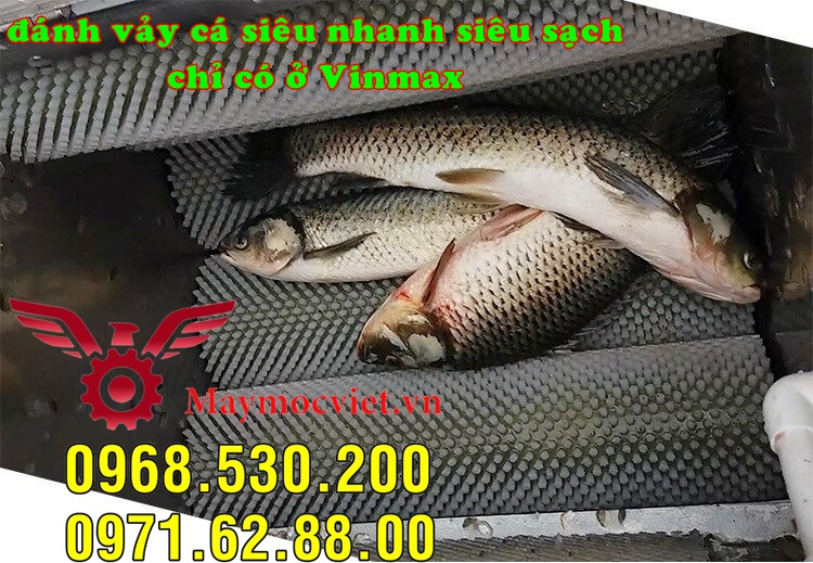 Thanh lý máy đánh vảy cá Vinmax SM500 giá cực rẻ