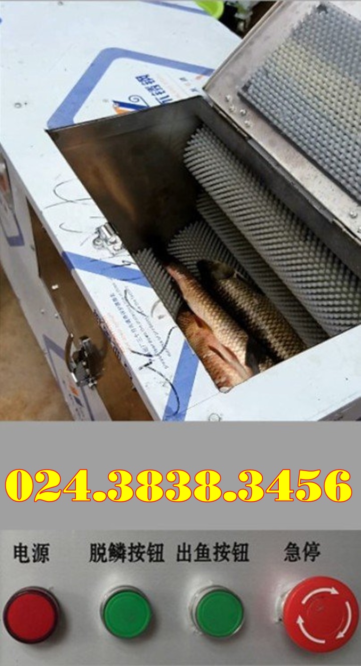 Thanh lý máy đánh vảy cá Vinmax SM500 giá cực rẻ