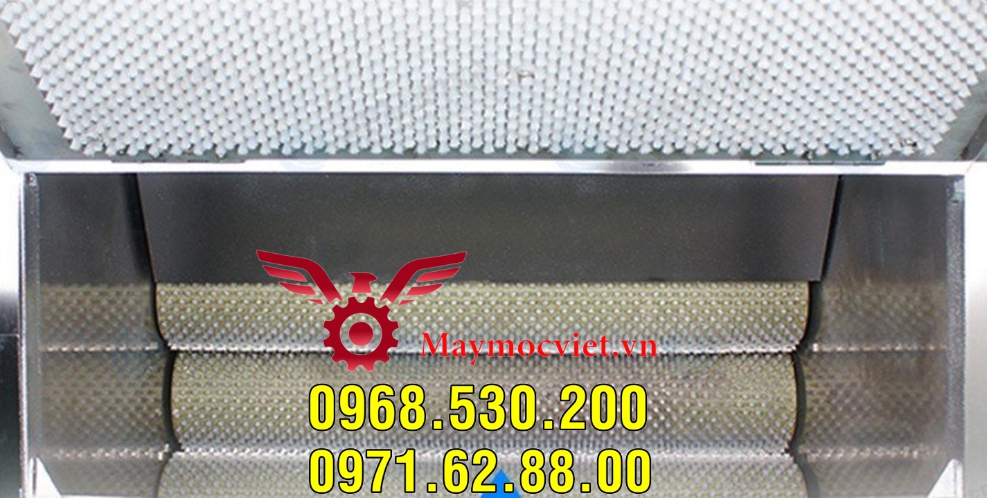 Thanh lý máy đánh vảy cá Vinmax SM500 giá cực rẻ