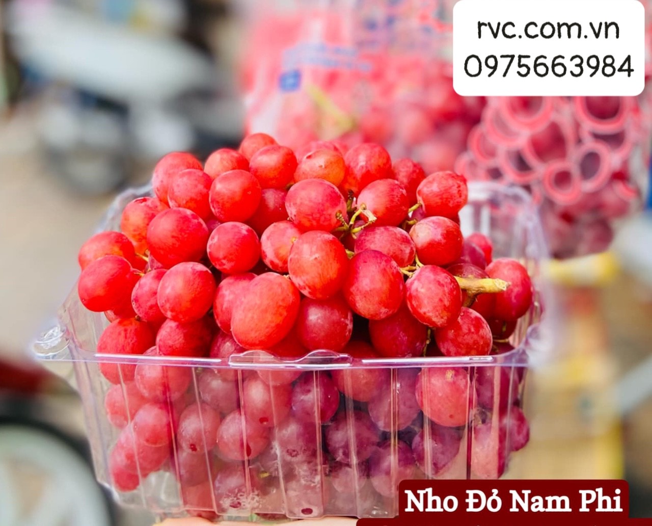 Giải pháp bảo quản nho hiệu quả bằng hộp nhựa trái cây